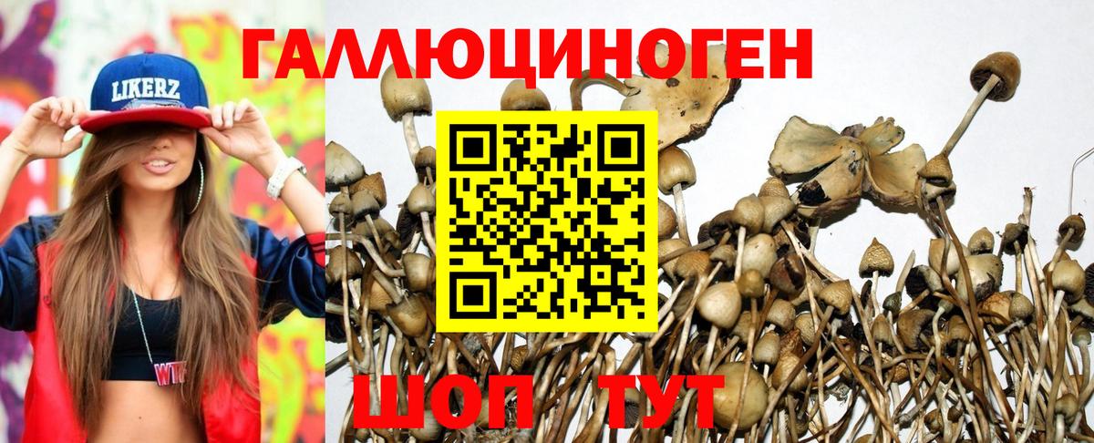 Новоуральск  Псилоцибиновые грибы ЛСД  Вход с VPN 