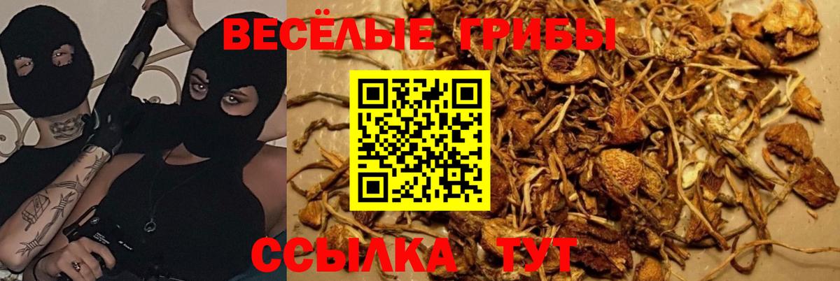 Псилоцибиновые грибы GOLDEN TEACHER Новоуральск